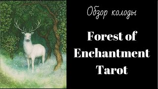 Forest of Enchantment Tarot | Таро Зачарованного Леса