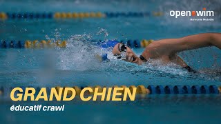 Educatif Natation - Grand Chien