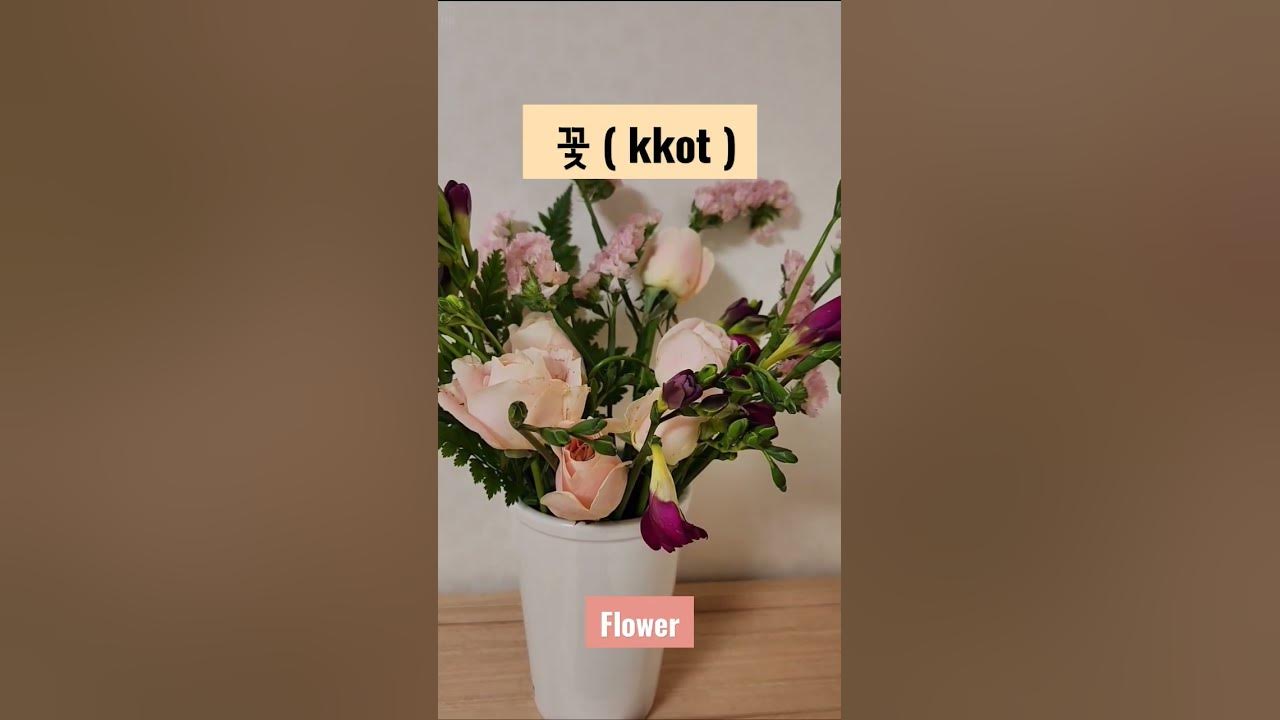 how-to-say-flower-in-korean-learnkorean-youtube