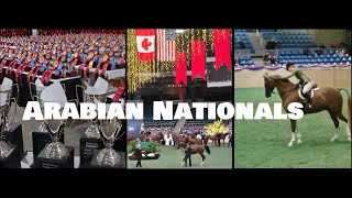 2023 US Arabian and Half-Arabian National Championship Horse Show
