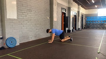 Quadruped Rock to Down Dog