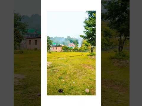 peace is here 💯✨🥀|peaceful village life #shortsfeed #peace #explore #nature #youtubeshorts