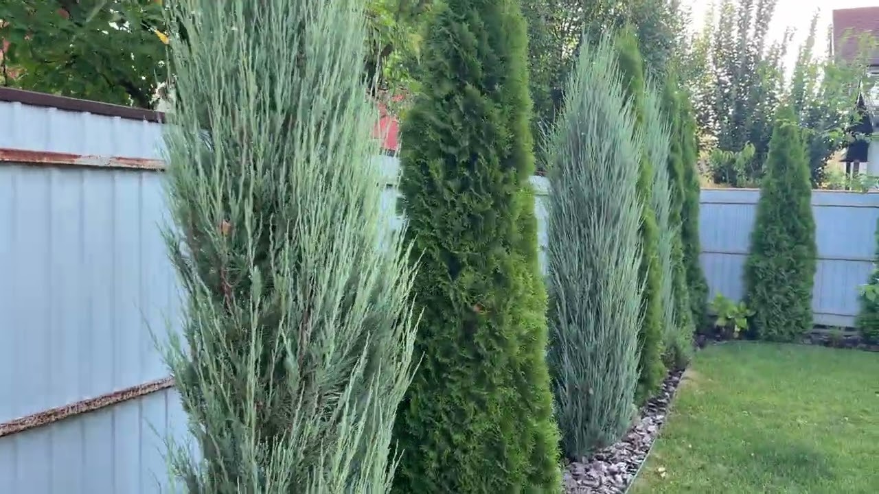 Прогулянка по моєму садочку 