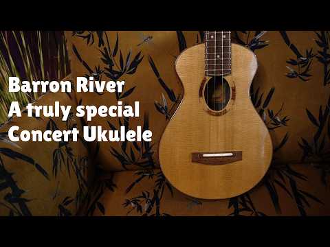Barron River - Torrefied Spruce and Blackwood Concert Ukulele - Lefty special!