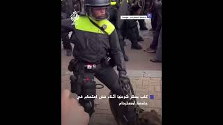 كلب يعض شرطيا خلال محاولة فض اعتصام داعم لفلسطين بجامعة أمستردام