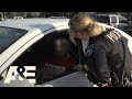 Live PD: Don't Argue and Drive (Season 3) | A&E