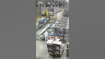 End of the production line carton opening/packing/sealing/palletizing system