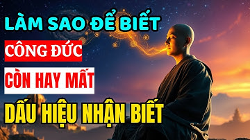 Làm Sao Để Biết Công Đức Mình Tạo Ra Còn Hay Đã Mất Khi Tu Hành Tại Gia? Tâm Từ Bi