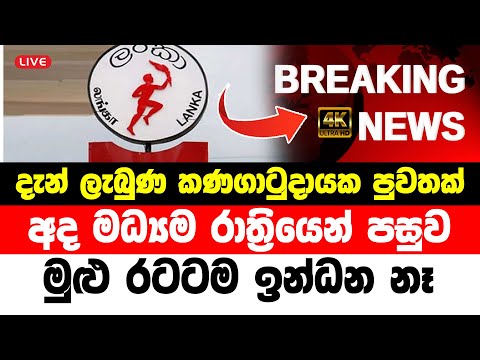 NEWS 1st TODAY BREAKING NEWS here is special news about oil 1 NEWS 1st TODAY BREAKING NEWS here is special news about oil thumbnail
