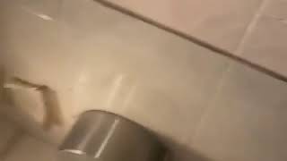 6ix9ine in the bathroom on the toilet