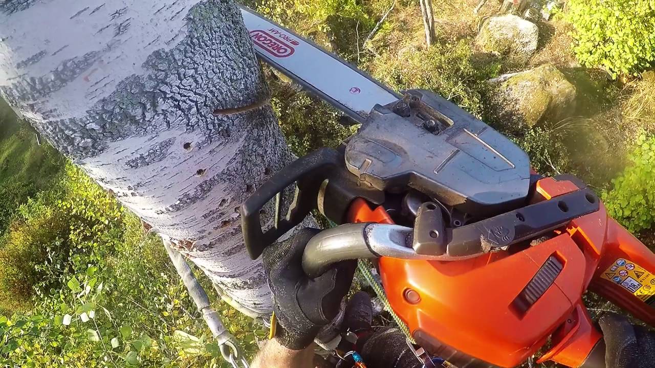 Removing tree with Husqvarna T540xp and 560xpg - YouTube