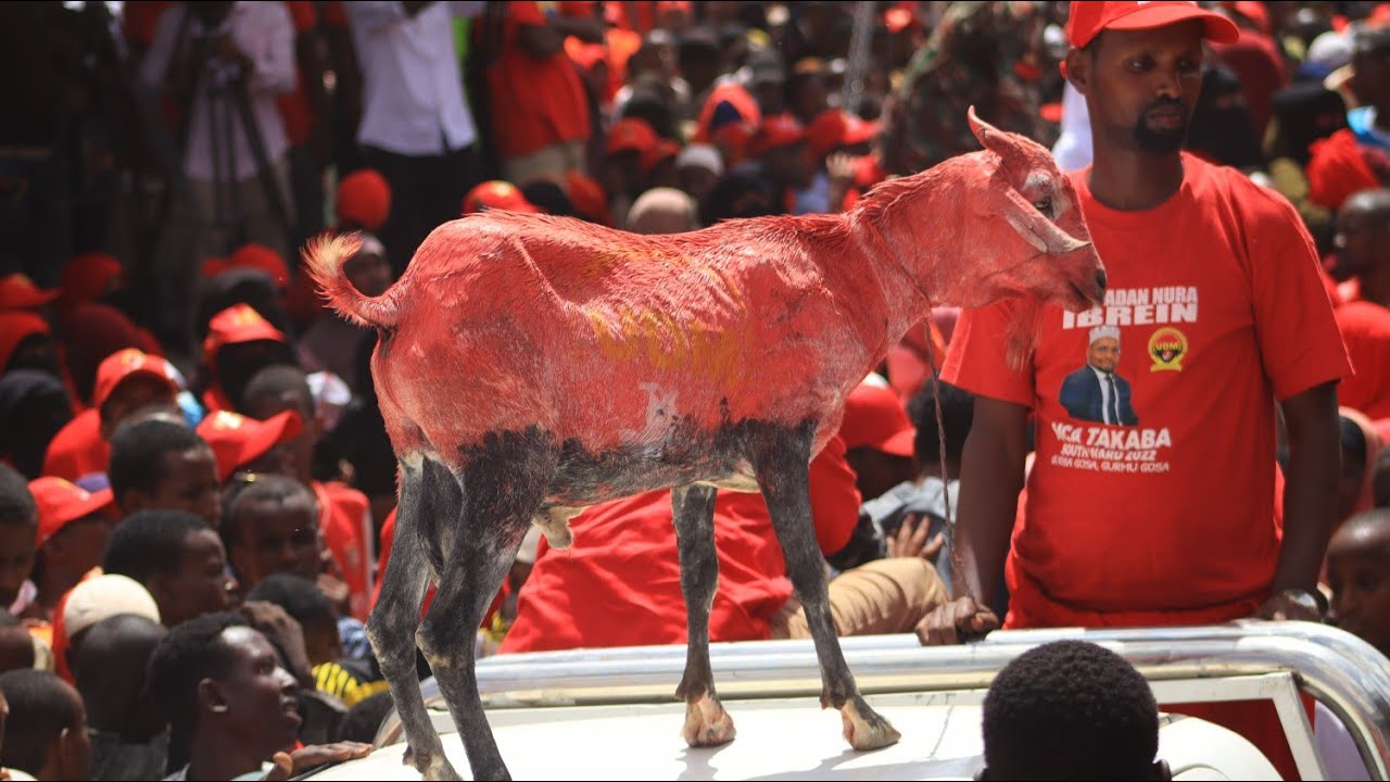 UDM caravan mega rally in #Mandera Stadium.