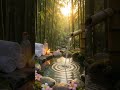 Close Your Eyes 🌿 Spa Music &amp; Water Sounds for Stress Relief &amp; Sleep