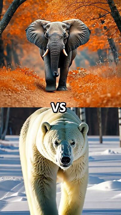 elephant vs rhinoceros vs hippo vs cheetah vs polar bear vs woolly mammoth(wild animal battle)