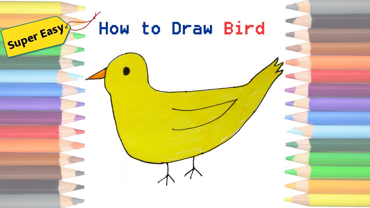How to Draw Bird for beginners Easy drawing step by step drawing