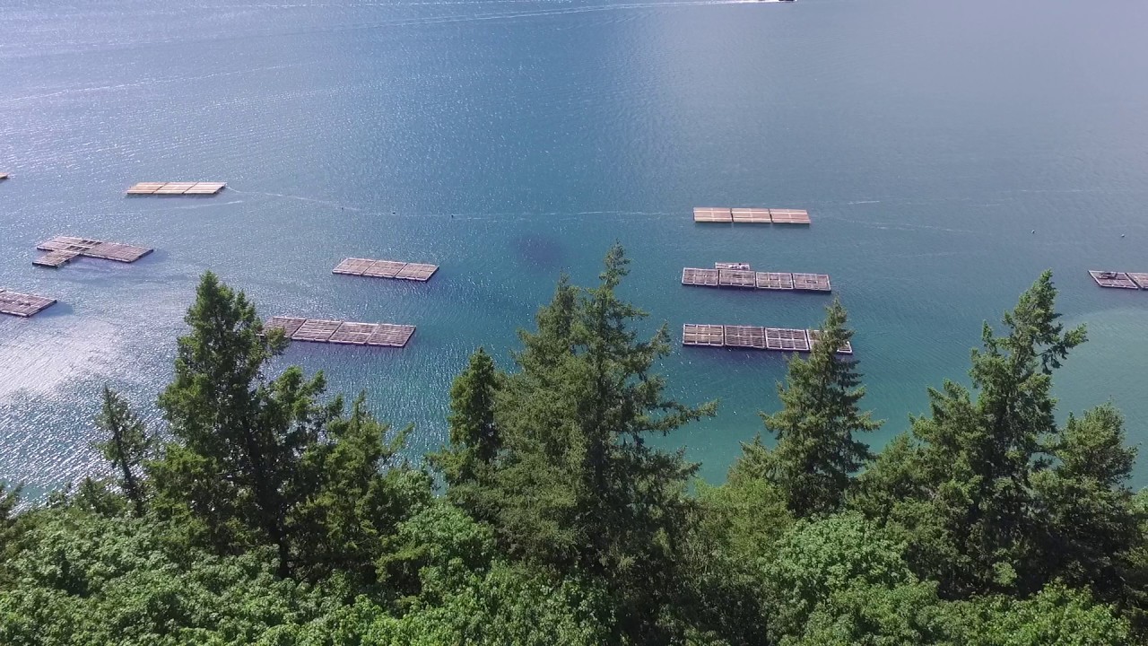 E Quilcene acreage with tidelands YouTube