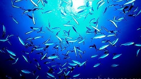 Free JEE Videos - AIEEE 2012 Physics Session 2 c