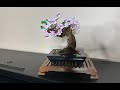 LEGO Bonsai Tree