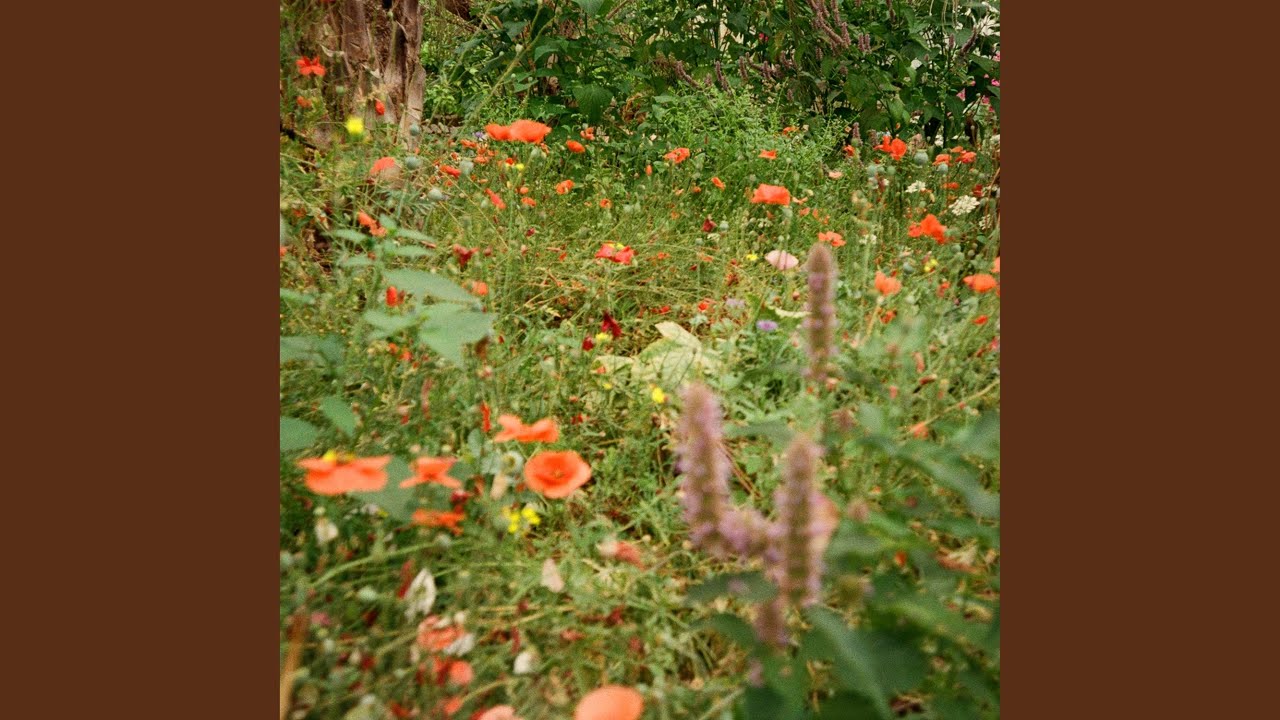 YouTube에서 dmls 보기 YouTube에서 dmls 보기