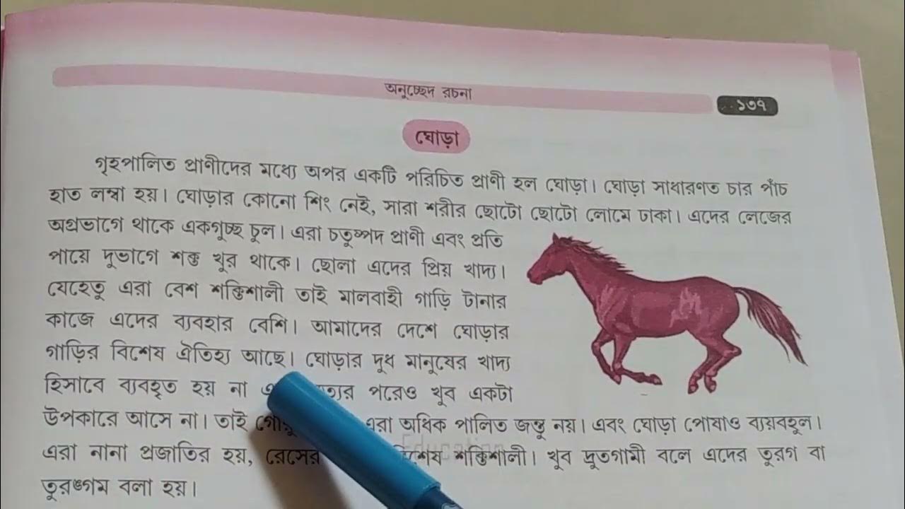 ঘোড়া অনুচ্ছেদ রচনা। Horse bengali paragraph essay । YouTube