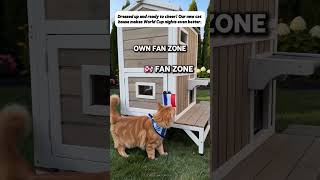 My Cat Won’t Leave This PetsCosset Outdoor Cat House #cat #cats #catshorts