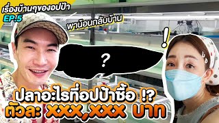 ปลาอะไรที่อปป้าซื้อ?? ตัวละ XXX,XXX บาท !!! | เรื่องบ้านๆของอปป้า EP.5