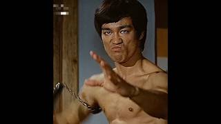 Best Self Defence Techniques The King Bruce Lee