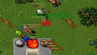 Tibia Trimera PK