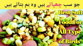 How To Make Soft Food For Lovebirds | How To Make Soft Food For Buggies | Cackatiels screenshot 3