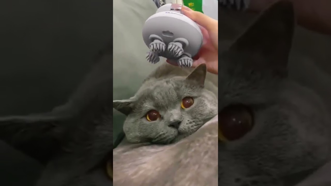 Waterproof Rechargeable Electric Head Massager Vibration Machine with Face Brush Node