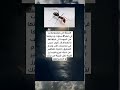 قد تكون سبب في تعاستك والله اعلم اكسبلور ذواقه علم النفس اقنباسات لايك معلومات عبارات قد تكون سبب في تعاستك والله اعلم اكسبلور ذواقه علم النفس اقنباسات لايك معلومات عبارات