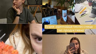 studyвлог ep.2.4 // будни в 11 классе / пишу впр и пробник / два месяца до егэ📆💻