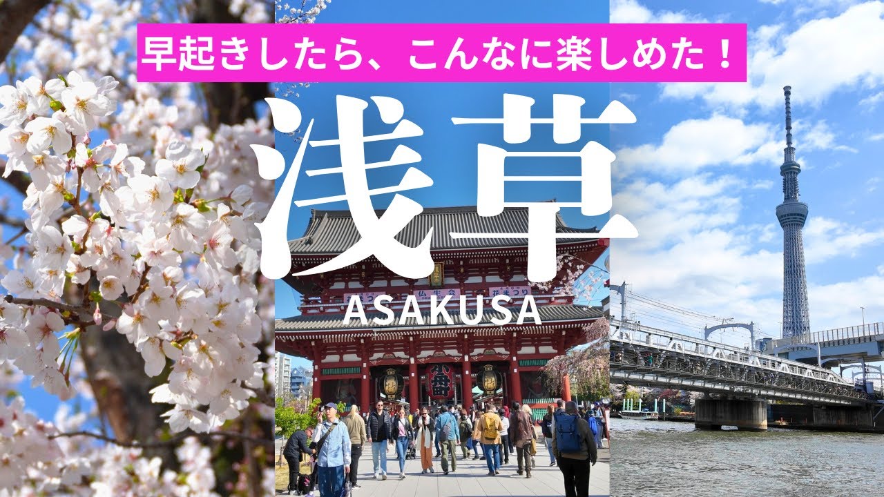 【浅草🌸桜】食べ歩きだけじゃない！春の浅草を楽しもう🌟【東京観光】
