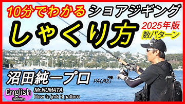 HOW TO JERK Shore Jigging  Mr. NUMATA PALMS Japanese Famous Pro-Angler explanation