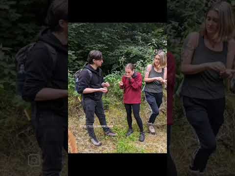 Woodland Yoga and Foraging