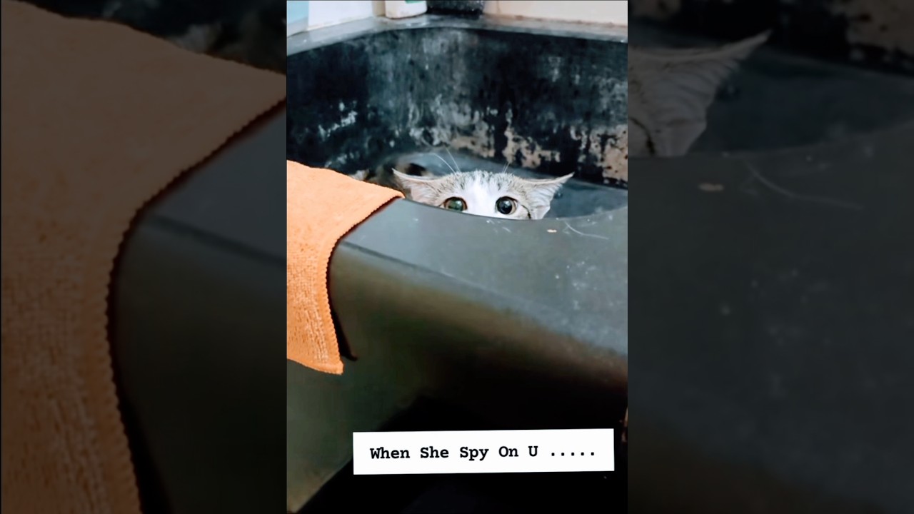  - HeartVod