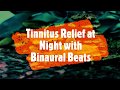 Tinnitus Relief Night time - with Binaural Beats - Deep Theta for Sleep and Meditation