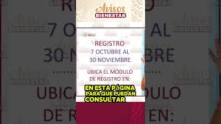 Mujeres De 60 A 64 Años Calendario De Registro Para La Pensión Bienestar Explicado En Octubre