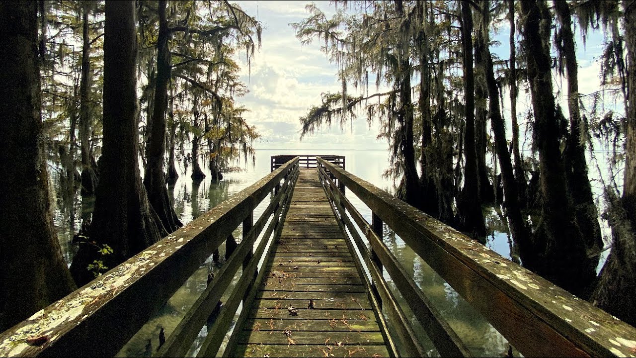 Morotoc Trail ~ Cypress Point ~ Moccasin Overlook ~ Pettigrew State Park, NC