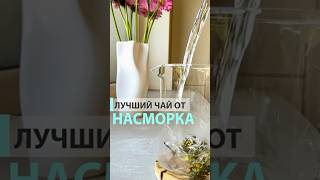 Лучший чай от насморка