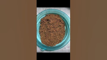 E chia sẻ bài mồi và Bãi câu mè vinh mè dảnh bến đò cũ đã bỏ gần cầu thủ biên- mé Bình Dương ae nhé.