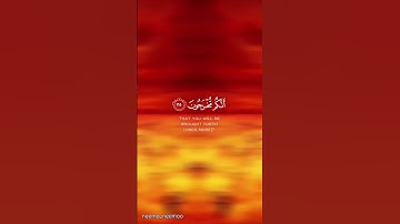 سورة المؤمنون الايه 35/36/37 ياسر الدوسري