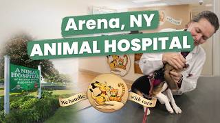 Animal Hospital Arena, NY