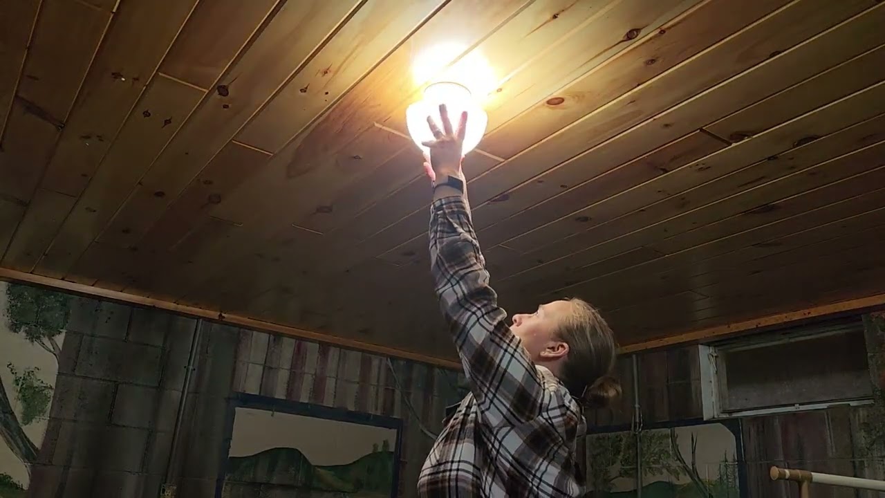 Clip-on Dome Shade for A-Type Bulb | Indoor Light Shade | Perfect for our Basement Lights