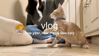 life updates & starting off the new year (we adopted another cat!)