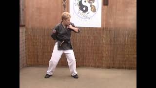 Tracy Kenpo Karate Reverse Hammerlock AB
