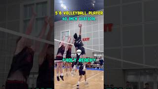 💥 40IN HIGH VERTICAL JUMP VOLLEYBALL SPIKE SHORT PLAYER #volleyball #volleyballshorts #shorts
