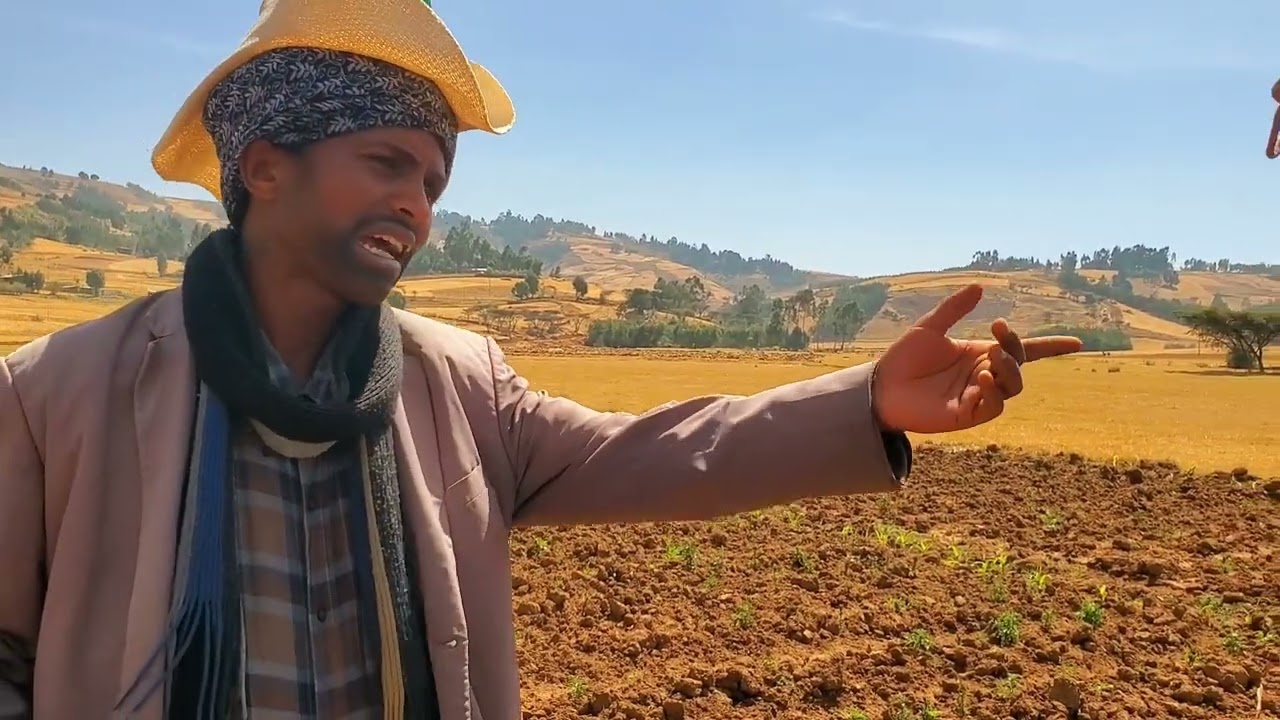 Abbaan Geexee Fi Fottoksan Bishaan Irratti wal Loolan