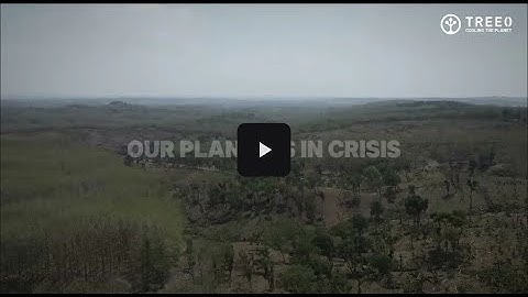 Happy International Day of Forests