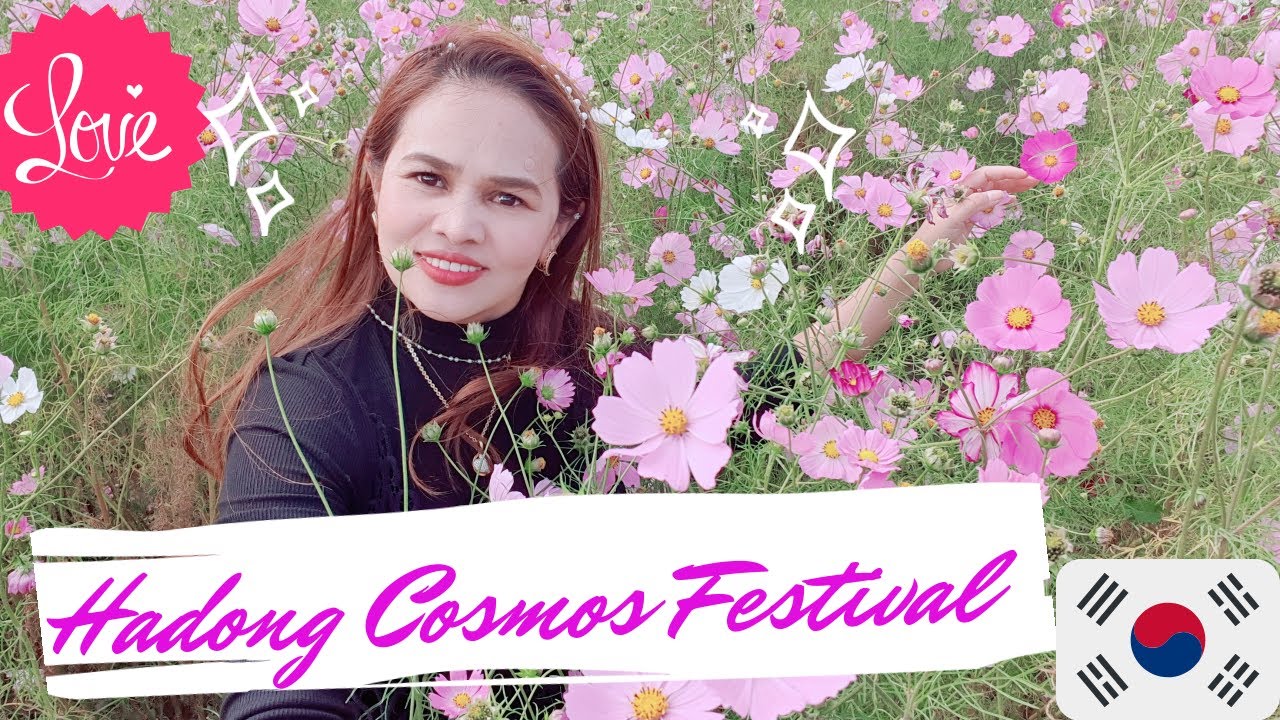The Alps of South Korea - Hadong Cosmos Festival